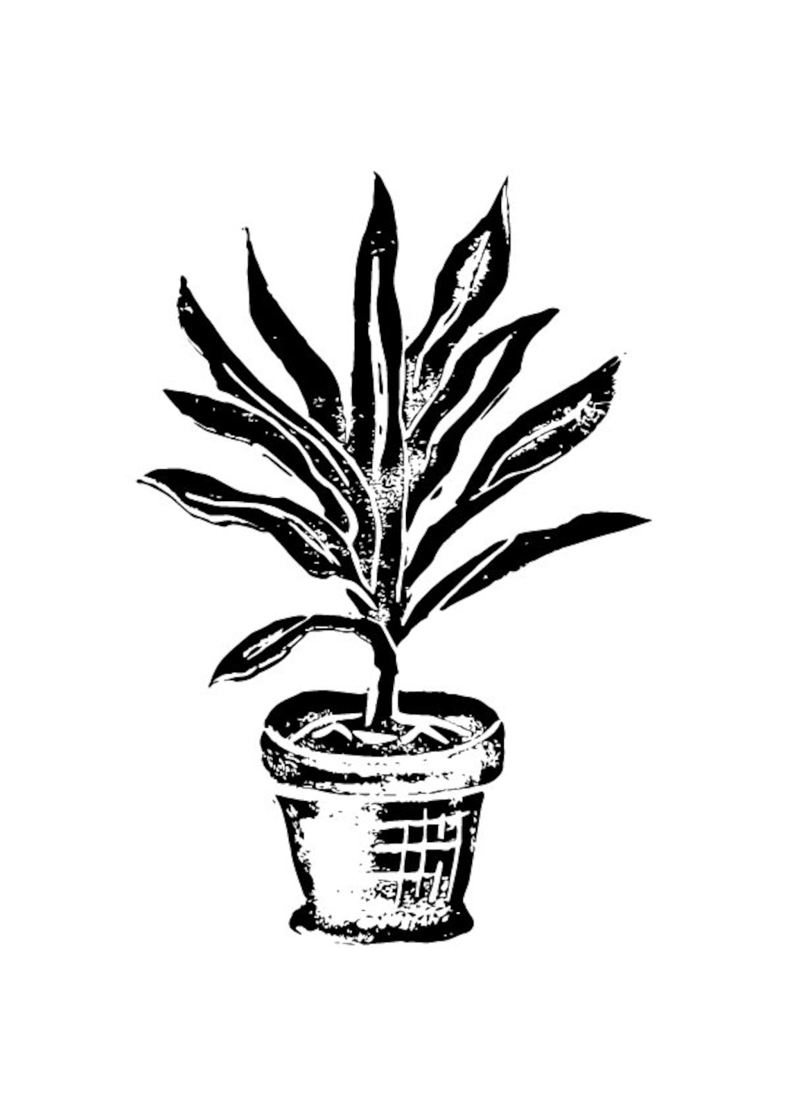 Plant Print Black and White Plant Art Print Etsy