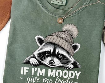 If I'm Moody Give Me Foody shirt, Comfort Colors Feral SweatShirt, Raccoon Crewneck, Sarcastic Gift, Gag Gift for Her, Gag Gift GN49