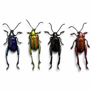 May include: Four beetle figurines arranged in a row, each featuring a distinct metallic finish. The colors include a deep royal blue, a vibrant iridescent green and gold, a solid glossy black, and a rich metallic burgundy red, all with long antennae.