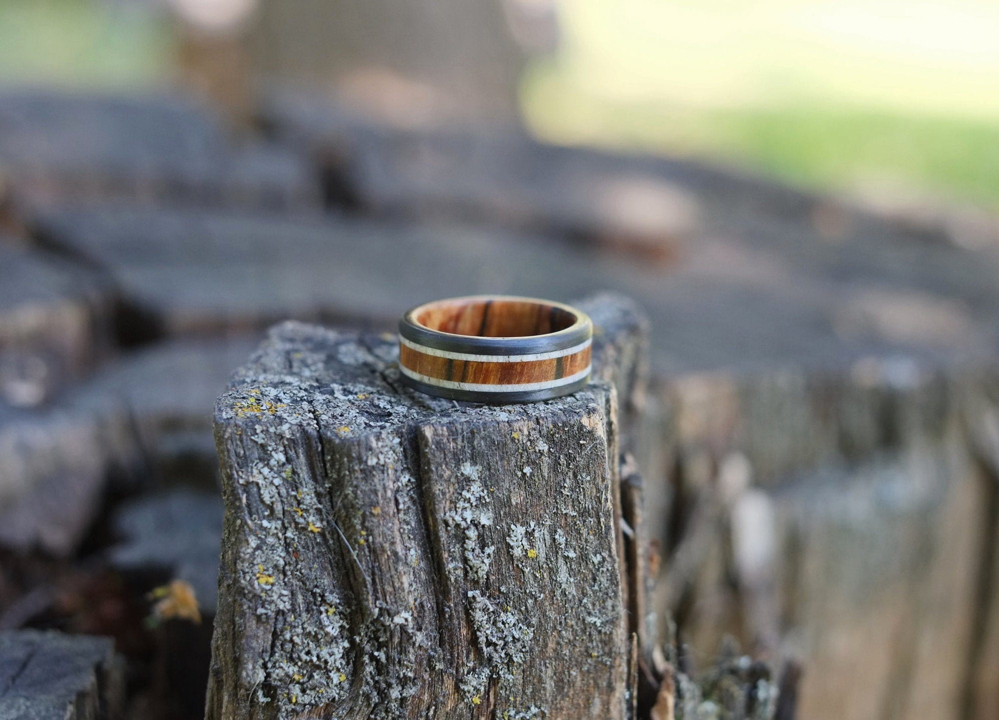Spalted Maple Antler Carbon Wedding Band