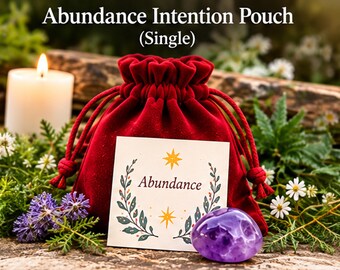 Red Velvet Abundance Pouch with Clear Quartz, Cloves & Red String | Intention Setting Gift