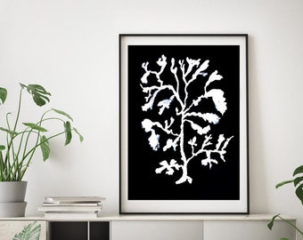 Geschenk für Zuhause, Küsten Aquarell Algen, Schwarz Weiss Meereskoralle Kunst Download, Küstenwand Kunst, Schwarz Weiss Marine, Korallen Algen Minimalistisch