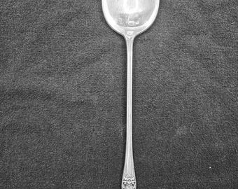 1847 Heritage Rogers Bros. Silver Plated Long Dressing Stuffing Spoon 12.75"