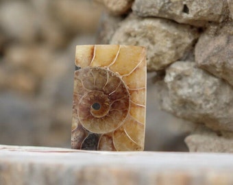 Cabochon di ammonite di qualità gioielliera tagliato a mano nel Regno Unito