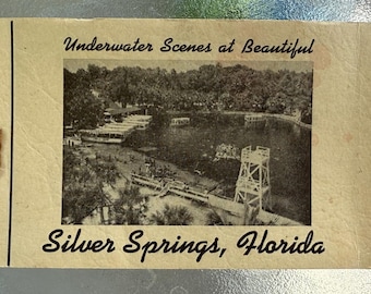 Silver Springs FL Postcard Mini Album Mermaids & Underwater Scenes