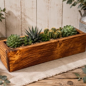 May include: A rectangular wooden planter box with a dark brown stained finish containing a variety of green succulents and small cacti. The plants are arranged in a row within the container, which features visible wood grain and joinery.