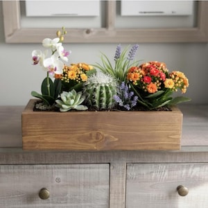 Puede incluir: Una jardinera rectangular de madera llena de una variedad de plantas y flores. El arreglo incluye un pequeño cactus, suculentas, flores naranjas y amarillas y orquídeas blancas. La caja está sobre una cómoda gris.