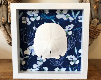 Sand Dollar Shadowbox ,Framed Sand Dollar, Beach Decor, Coastal Decor, Sand Dollar Wall Decor, Summertime Decor, Beach House Decor