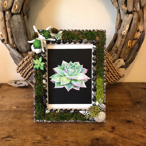 Seashell and Succulent Frame, Seashell Frame, Beach House Decor Frame, Preserved Moss Frame, Biophilic Frame