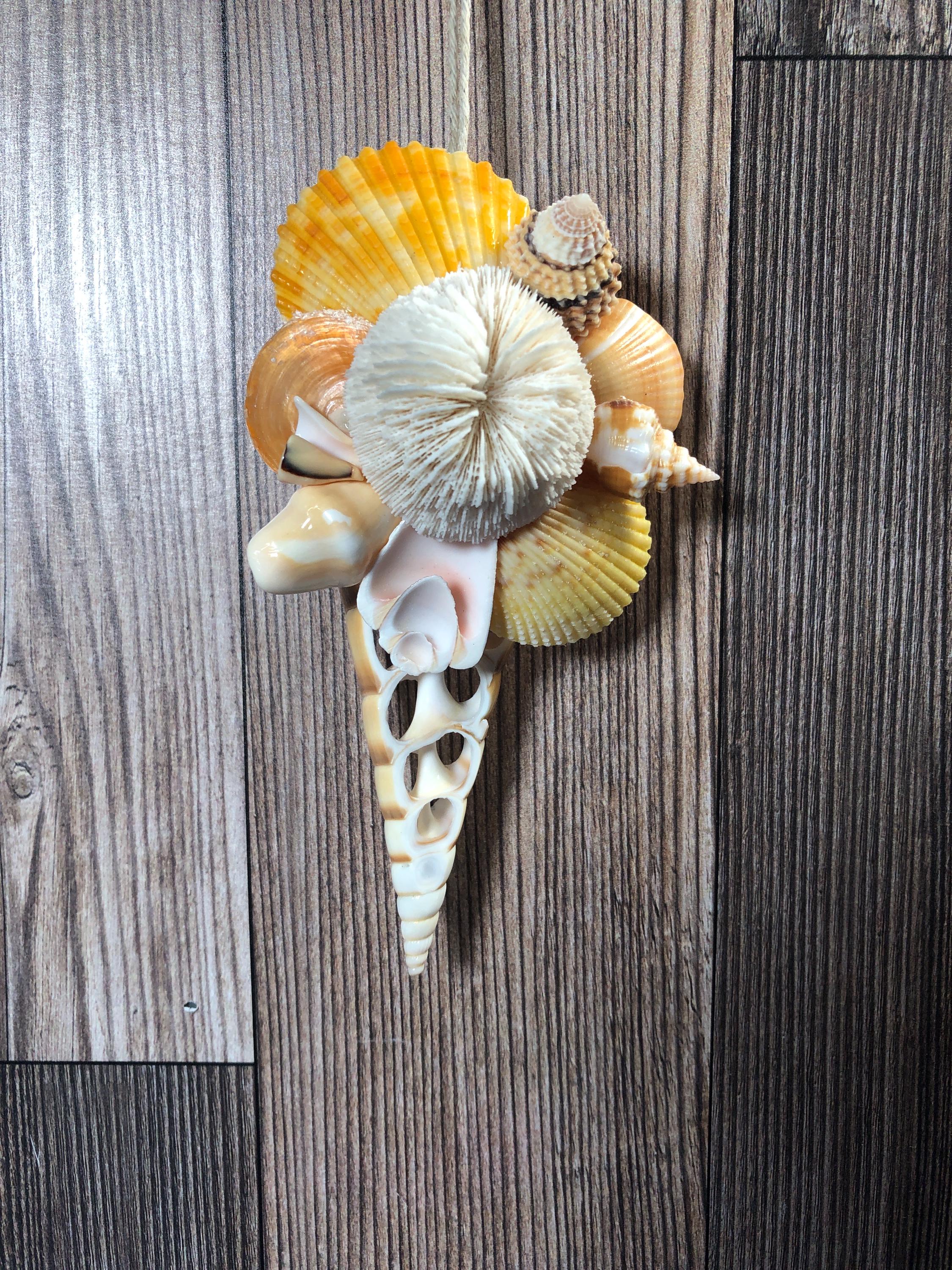 Seashell Slice Ornament With Added Shells - Etsy