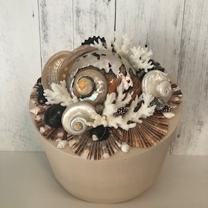 Seashell Topped Jewelry Box: Beach Decor Trinket Box