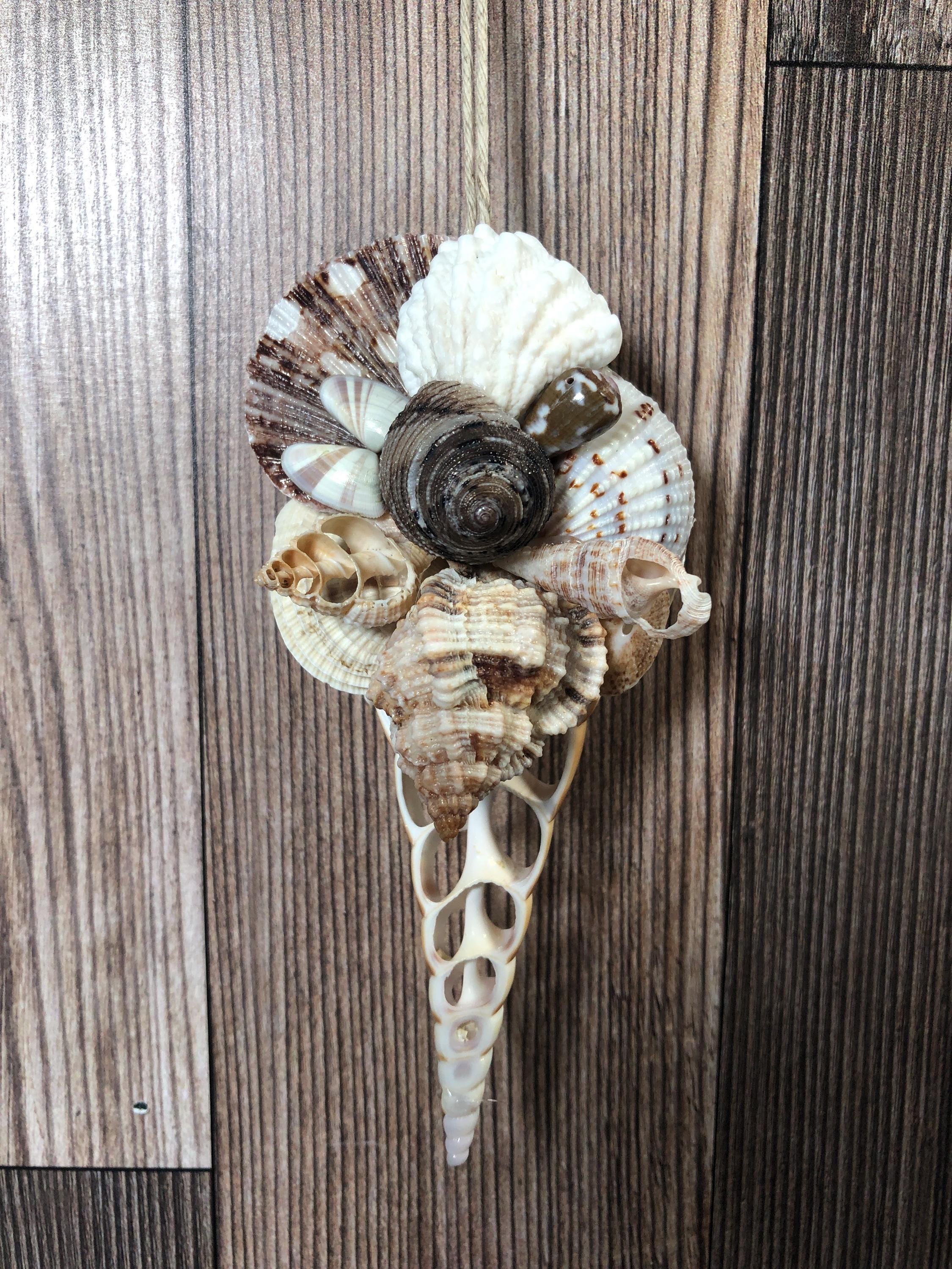 Seashell Slice Ornament With Added Shells - Etsy