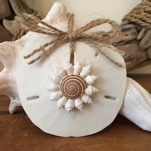 Hand Painted Sand Dollar Ornament with Seashell Flower