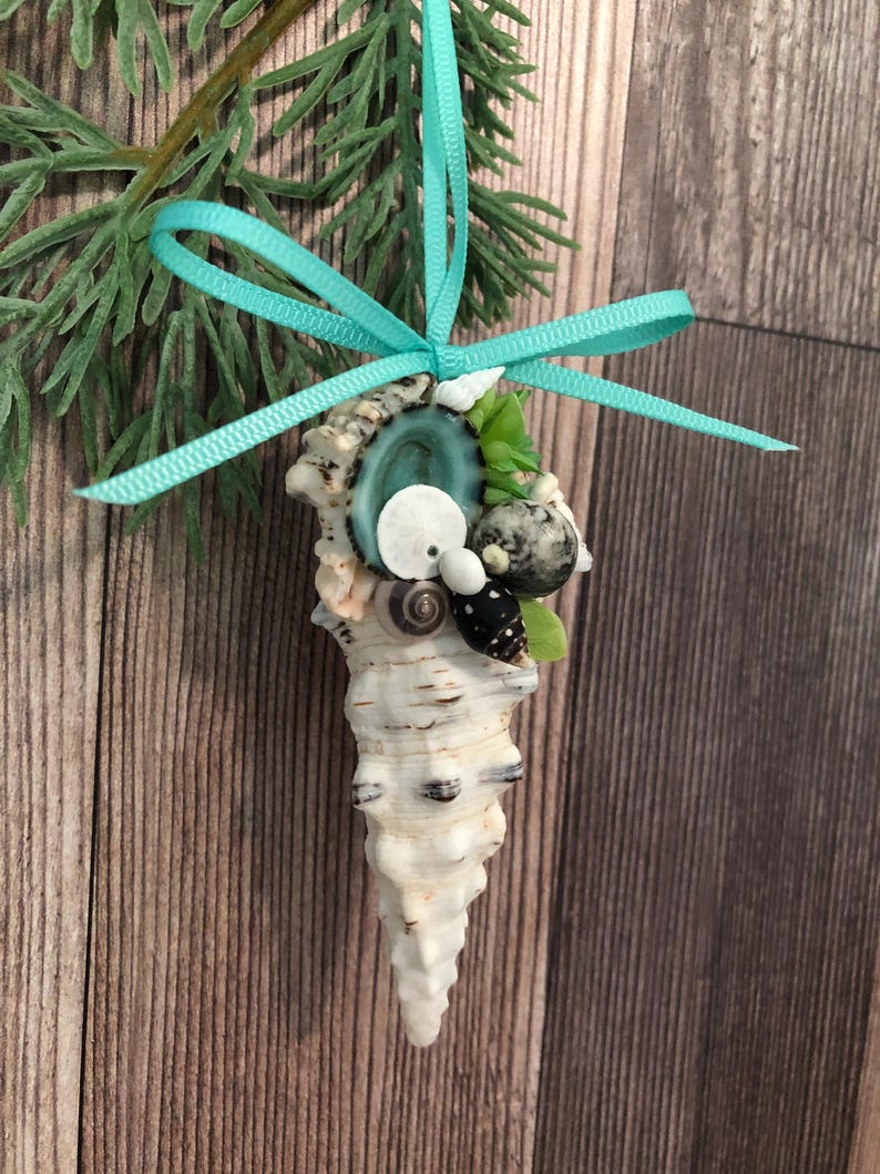 Cerith Seashell With Shells and Greenery, Beach Christmas Ornaments - Etsy