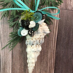 May include: A decorative seashell ornament featuring a large, cream-colored conch shell adorned with smaller shells, teal accents, and a teal ribbon. Greenery adds a natural touch to this coastal-themed craft.