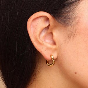 May include: A close-up of an ear with a small, gold hoop earring. The earring has a smooth, curved design. The skin around the ear is fair-toned, and dark hair is visible.