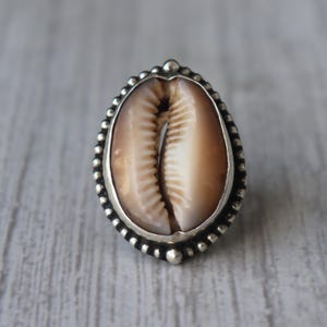 Sterling Silver Cowrie Shell Ring, Bohemian Statement Jewelry, Natural Kauri Shell