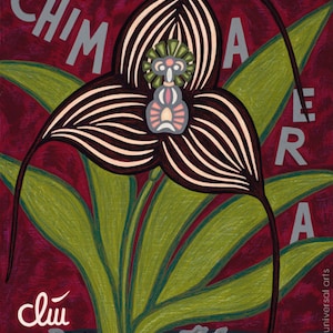 Jacqueline Ditt -  "Masdevallia Dracula Chimera Orchid" Druck nach Gemälde Orchidee
