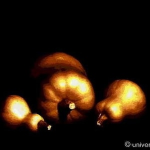 Mario Strack - "Pumpkins" Artcard