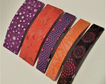 Set of 5 Fashion Barrettes