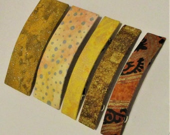 Set of 5 Fashion Barrettes