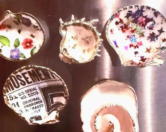 Fun & Funky Muschel Magnete
