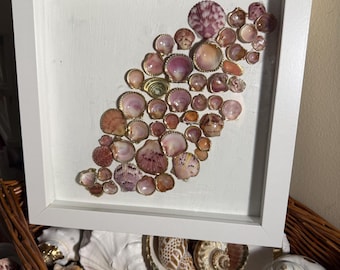Pink Waves Shell Schattenbox
