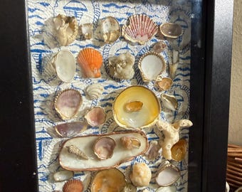 Schattenbox aus Sand und Muschel