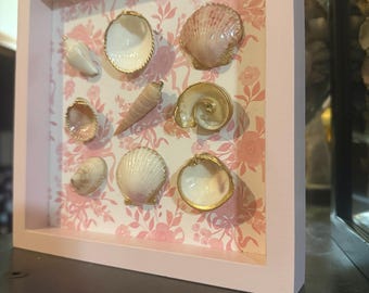 Pink Delight Shell Schattenbox