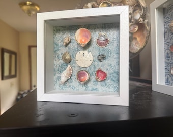 Sanddollar Schattenbox