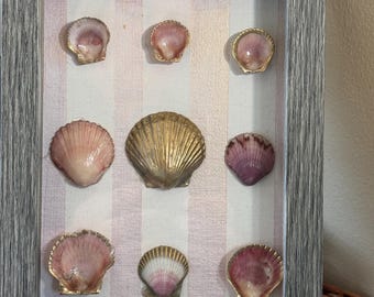 Seas and Stripes schelpenschaduwdoos