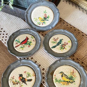 May include: Set of five vintage decorative plates with bird illustrations. Each plate features a different bird design in vibrant colors, set against a cracked cream-colored background, framed by a scalloped pewter-toned metal edge. A charming addition to any home decor.