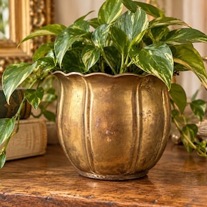 May include: A brass planter with a scalloped rim and a rounded, ribbed body. The metal surface has a weathered, aged patina with visible dark spots and texture. A trailing green and cream variegated pothos plant grows out of the container.
