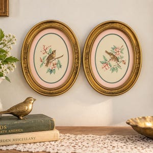 May include: Two oval wall frames with ornate gold borders, each containing a botanical print of a small bird perched on a flowering branch against a cream background with a soft pink inner mat and a thin dark green accent border.