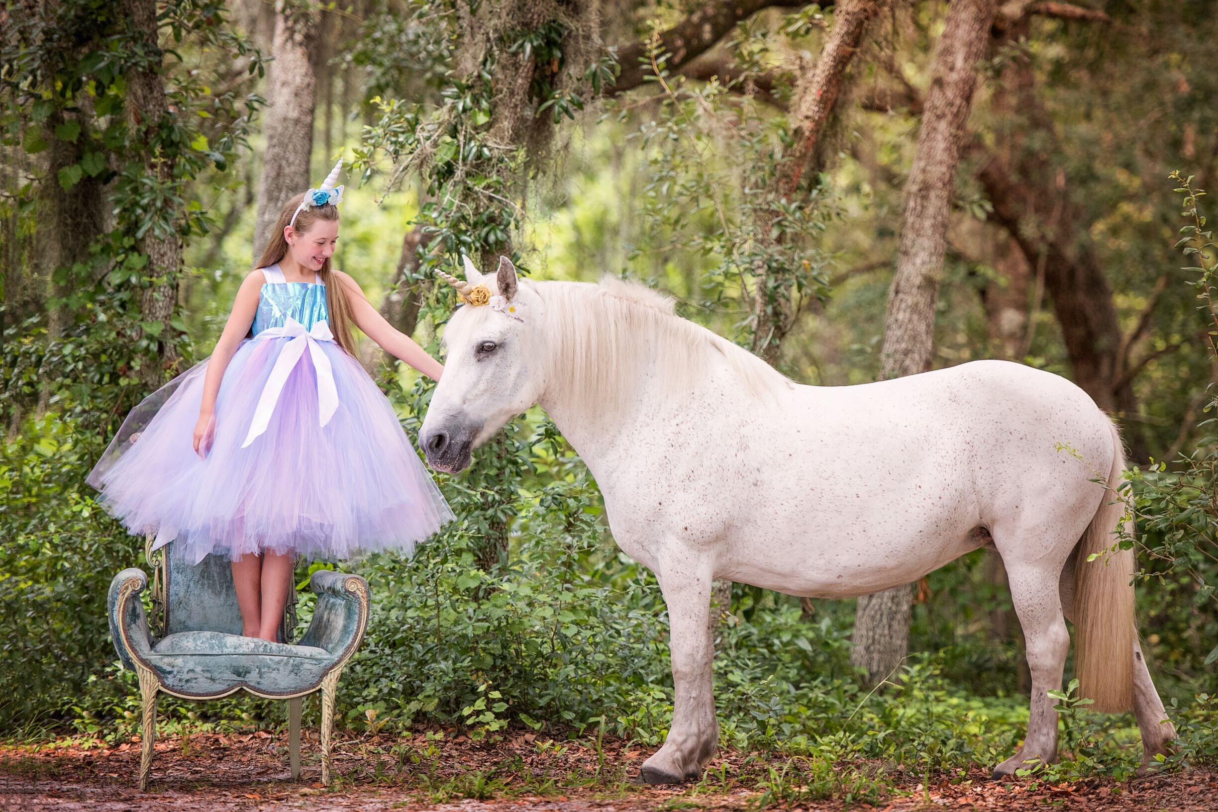 The Hair Bow Factory Unicorn Tutu Dress Size 12-24 Months to 