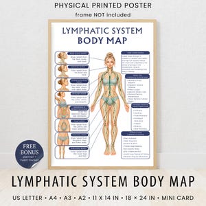 May include: A physical printed poster titled Lymphatic System Body Map featuring a central illustration of a human figure with green lymphatic vessels. The poster includes text boxes explaining nodes, system functions, signs of poor flow, and support tips.