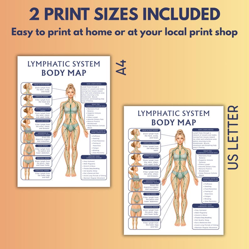 Lumpnode System Lymphatic System Chart Printable, Female Body Map, Lymph Node Anatomy ...