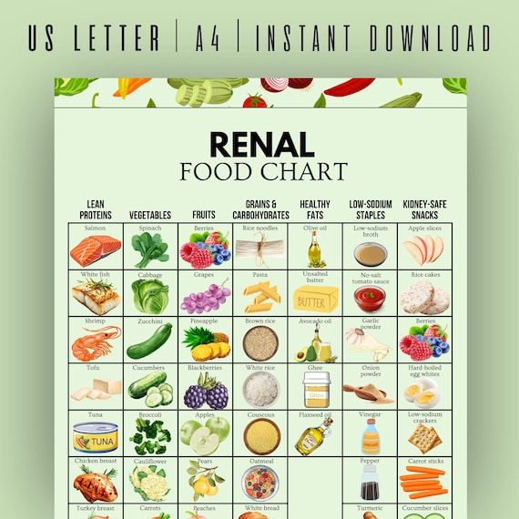 Renal Diet Chart, Kidney Food Guide, CKD Nutrition Visual Printable