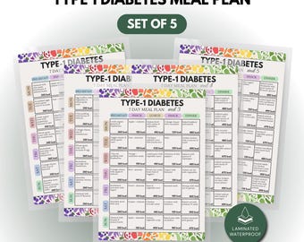 Type 1 Diabetes Meal Plan | 5 Week Diabetes Food Plan | Laminated Diabetic Meal Planner | Physical Printed Food Chart Set