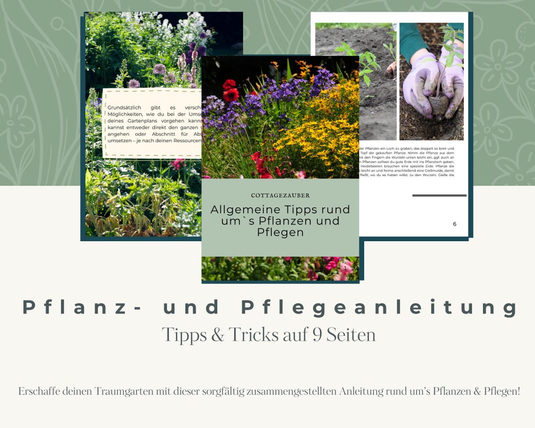 General Planting and Care Instructions for Printing - Etsy