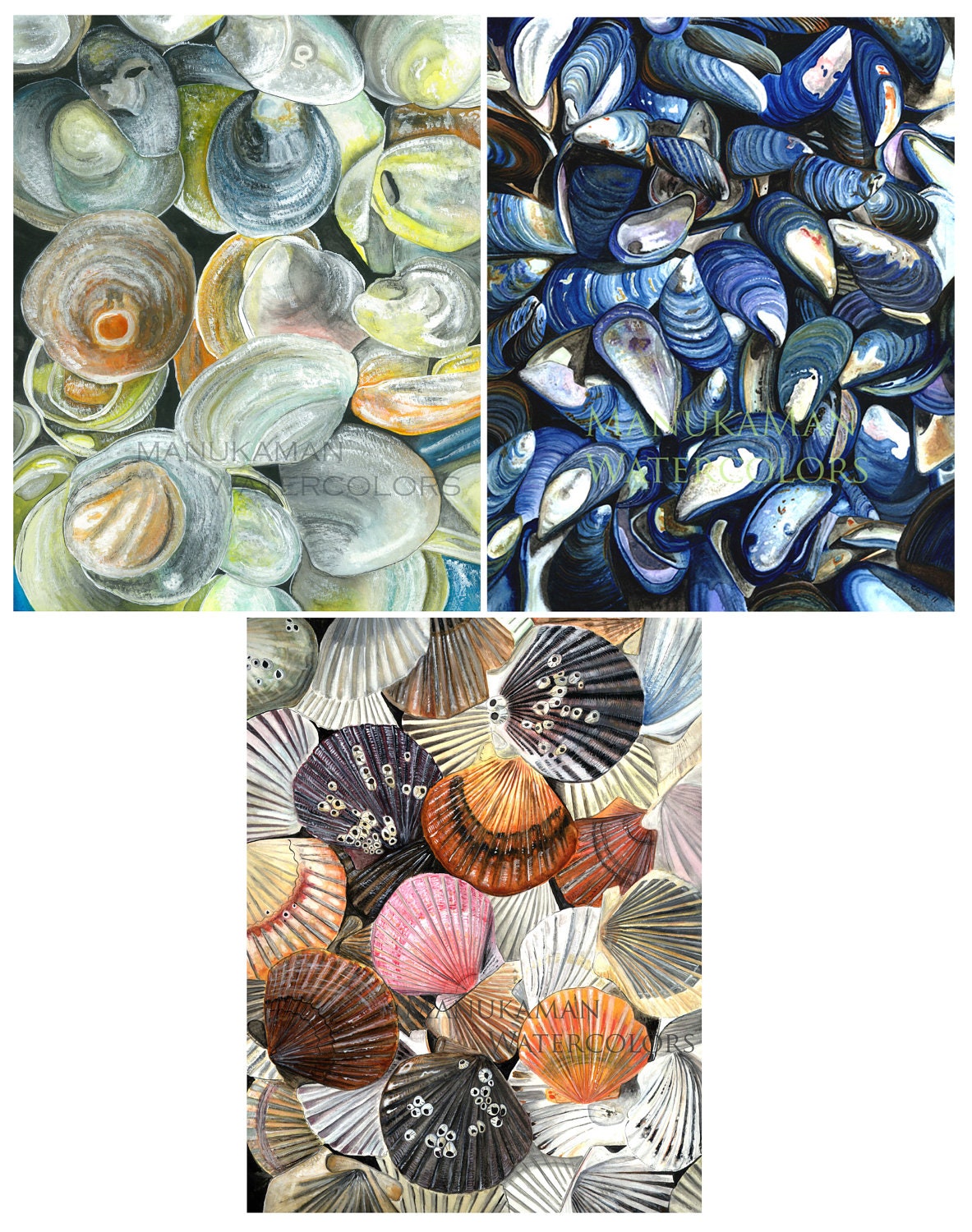 Shell Shocked Art Print for Sale by Palamon