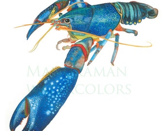 watercolor print of blue lobster by Damon Crook (for 11 x 14 inch frame)