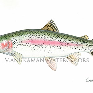 Regenboogforel aquarel print van Damon Crook (11 x 14)