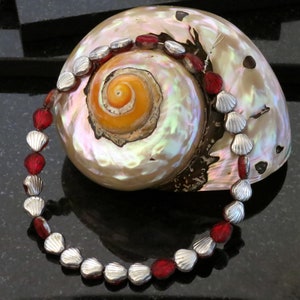30-2 Colored Seashell Beads Silver and Red Czech Glass Tropical Island Seashell 30 JewelryBeads