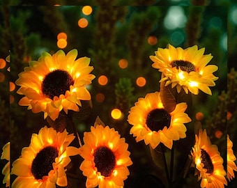 Luci solari da giardino, 2 pezzi luci solari luci decorative a forma di