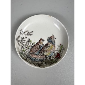 Puede incluir: Un plato de cerámica blanco con una ilustración detallada de dos aves con plumaje marrón, azul y amarillo. Las aves están rodeadas de follaje verde y una rama con agujas de pino. El plato tiene un borde ligeramente elevado.