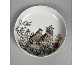 Johnson Bros England Game Birds Ironstone Butter Pat Coaster klein bord van 4 inch