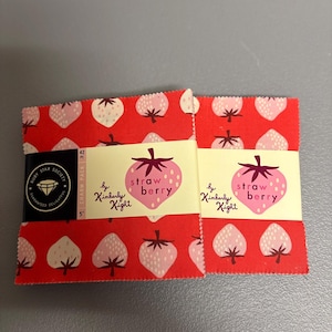 Charm Pack Ruby Star Society 5-inch stacker