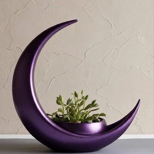 May include: A crescent moon-shaped planter with a smooth, metallic purple finish. The planter features a central circular basin holding a small green succulent plant with multiple leaves, creating a distinct celestial-inspired decorative object.