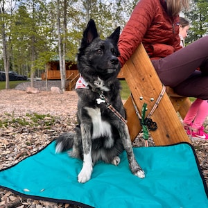 Alfombra portátil para perros, ecológica, resistente al agua, fabricada en EE. UU.